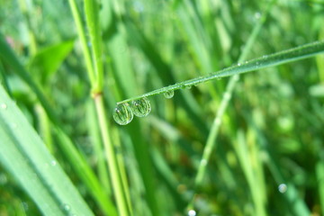 spiegelung im wassertropfen