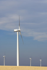 Fototapeta premium windmills