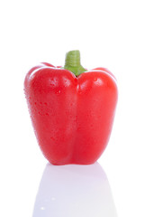 Red pepper isolated