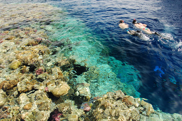 Two persons is snorkeling in red sea