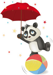 Bear a panda in circus
