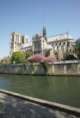 Fototapeta na wymiar Paryż Pomnik Kościół 11