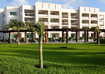 Green Lawn at Tropical Resort