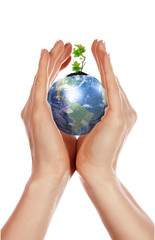 hands, the sprout and  Earth