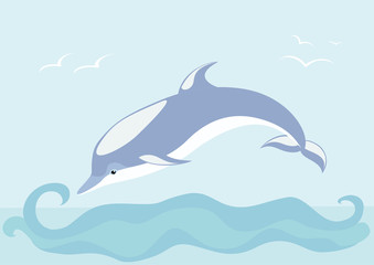 The beautiful dolphin swims on sea