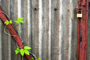 altes Schloss mit Blättern