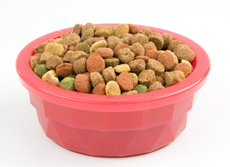 Dried dog food in a pink bowl isolated on white