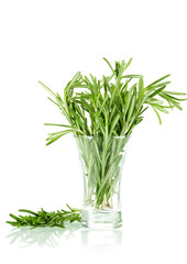 The bunch of rosemary in glass