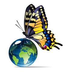 butterfly-and-globe