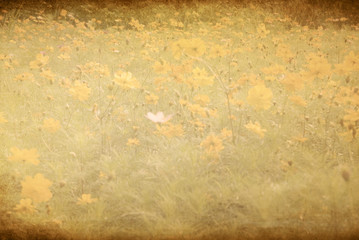 old flower paper textures