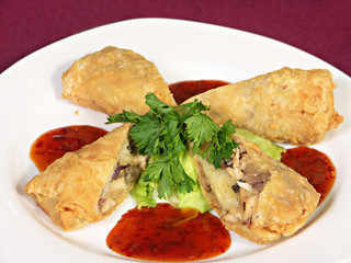 Japanese Spring Rolls