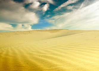 Obraz na płótnie Canvas desert landscape