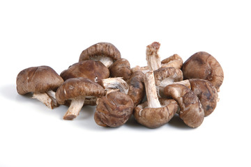 Shiitake Mushrooms