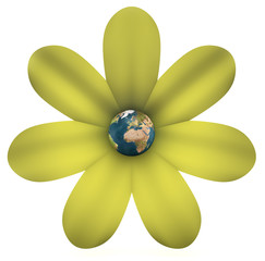 globo-flor © juanjo