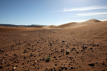 Sahara im Morgenlich
