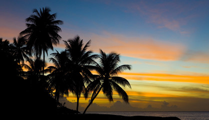 Naklejka na ściany i meble sunset over Caribbean Sea, Turtle Beach, Tobago