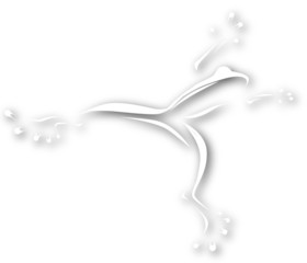 Leaping frog
