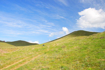 landscape meadow and sky