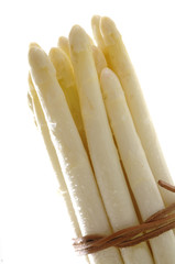 Weisser Spargel im Bund mit Wassertropfen