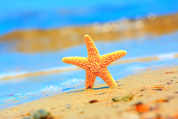 Fototapeta na wymiar Starfish i fal oceanicznych na piaszczystej plaży tropikalnych
