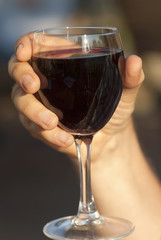 Glass of red wine