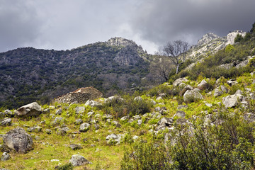 Sierra de Gredos. Castilla León. España