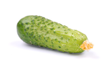 Green cucumber isolated on white