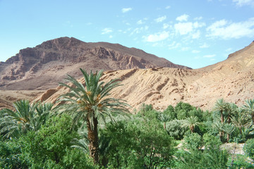 Moroccan  landscape