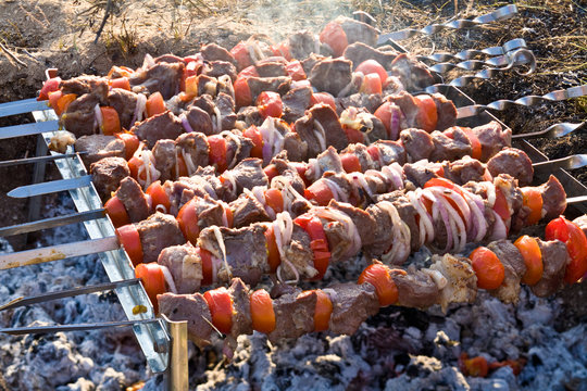 shashlik (kebab)