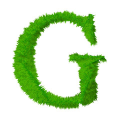 High resolution grass font isolated