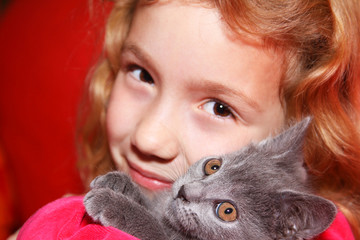 Fototapeta na wymiar chaton chartreux dans les bras d'un enfant