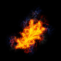 Fototapeta premium Fiery Olive tree branch.