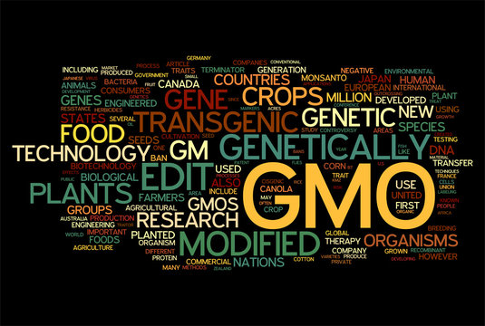 GMO Transgenic Food