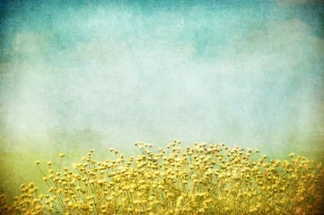 Foto auf Acrylglas Sommer Grunge-Bild eines Feldes