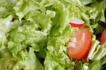 Salat mit Tomate und Radieschen