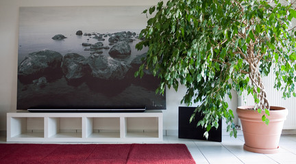 Meuble Hi Fi 4/3 arbre 2