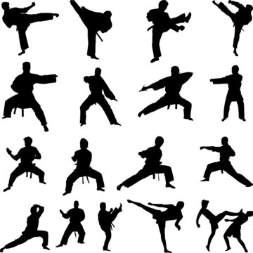 Various karate poses silhouettes