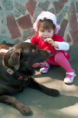 girl and the labrador
