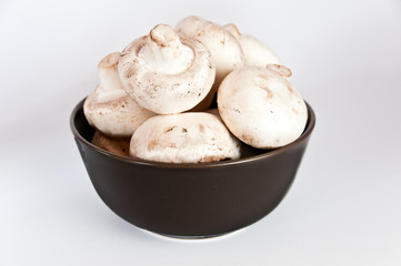 White mushroom in a brown bowl