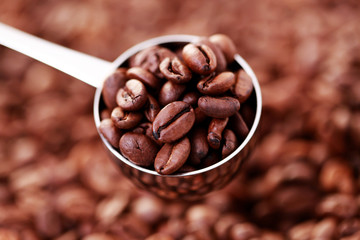 spoon of coffee beans