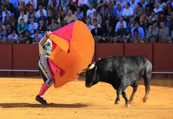 Gordijnen Bull fight at Seville © Alan Reed