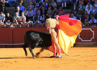 Selbstklebende Fototapeten Stierkampf Bull fight at Seville  © Alan Reed