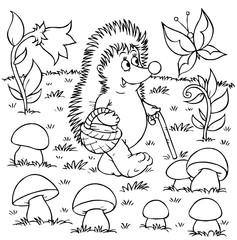 Fototapeta premium Hedgehog gathers mushrooms