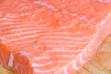 salmon closeup