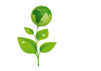 Nascita del mondo da una pianta