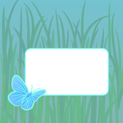 butterfly frame, vector illustration