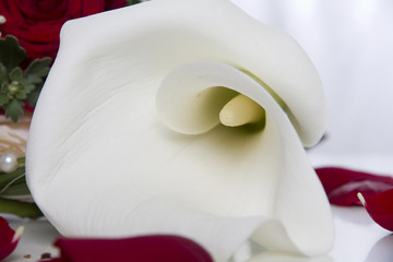 Callas und Rosen © Michaela Müller
