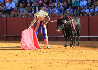 Fotobehang Stierengevecht in Sevilla © Alan Reed