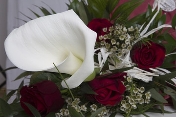 Callas und Rosen