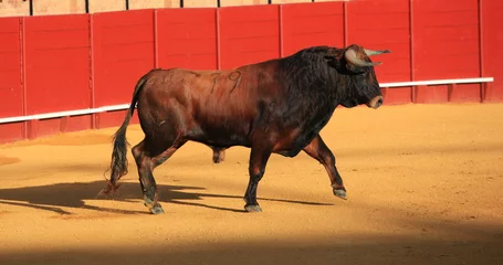 Selbstklebende Fototapeten Bull fight at Seville © Alan Reed